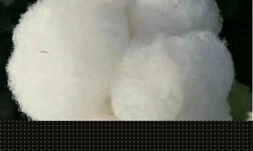 郑棉期货交易时间(郑棉期货东方财富网)_http://www.hanbangwangye.com_中金所_第1张
