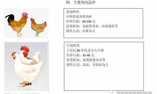 鸡肉期货(鸡肉期货交易平台)_http://www.hanbangwangye.com_上期所_第1张
