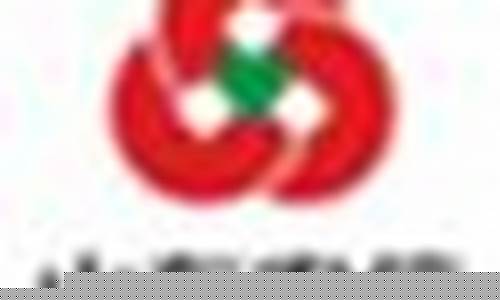 智胜期货(智诚期货)_http://www.hanbangwangye.com_广期所_第1张