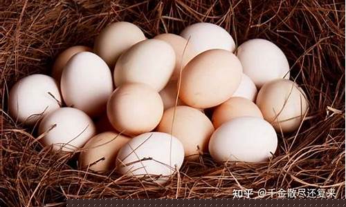 鸡蛋期货手续费标准(鸡蛋期货最新行情分析)_http://www.hanbangwangye.com_上期所_第1张