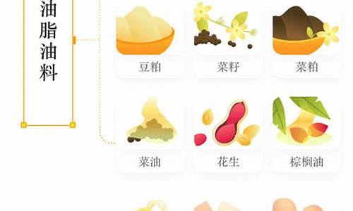 大品种期货(品种期货和指数期货区别)_http://www.hanbangwangye.com_郑商所_第1张