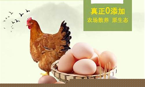 香港鸡蛋期货(香港鸡蛋期货实时行情)_http://www.hanbangwangye.com_上期所_第1张