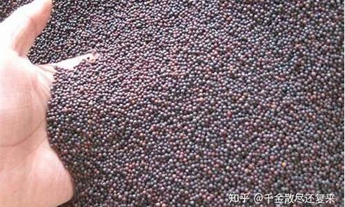 菜粕期货吧(菜粕期货吧东方财富讨豆)_http://www.hanbangwangye.com_大商所_第1张