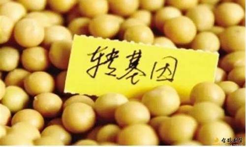 黄大豆期货(黄大豆期货代码)_http://www.hanbangwangye.com_上期所_第1张