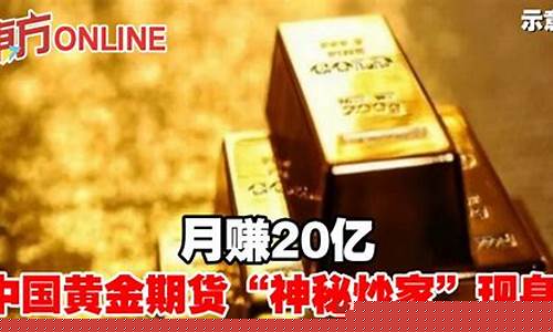 期货炒家(炒期货视频教程)_http://www.hanbangwangye.com_广期所_第1张