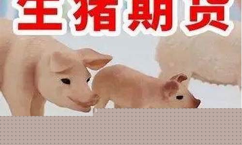生猪期货期货(生猪期货期货价格狂飙)_http://www.hanbangwangye.com_上期所_第1张