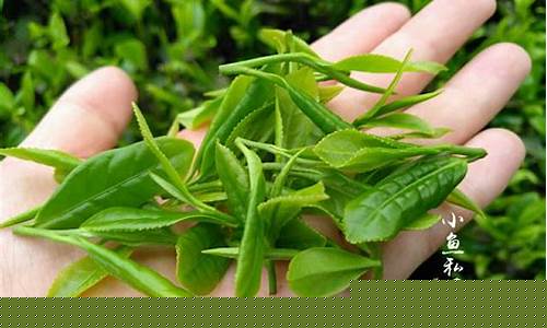 炒茶叶期货(茶叶炒奶茶怎么做)_http://www.hanbangwangye.com_大商所_第1张