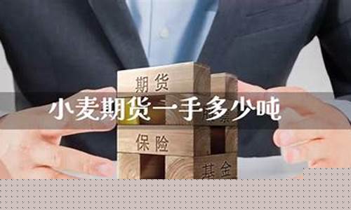 小麦期货一手(小麦期货交易)_http://www.hanbangwangye.com_广期所_第1张